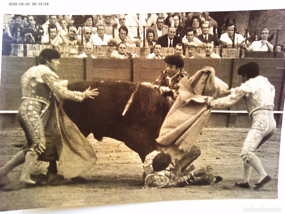 Fotograf&iacute;a antigua: FOTO DE CORREIDA DE TORO : TORERO COGIDO POR EL TORO ...... 11,5 X 16,5 CM