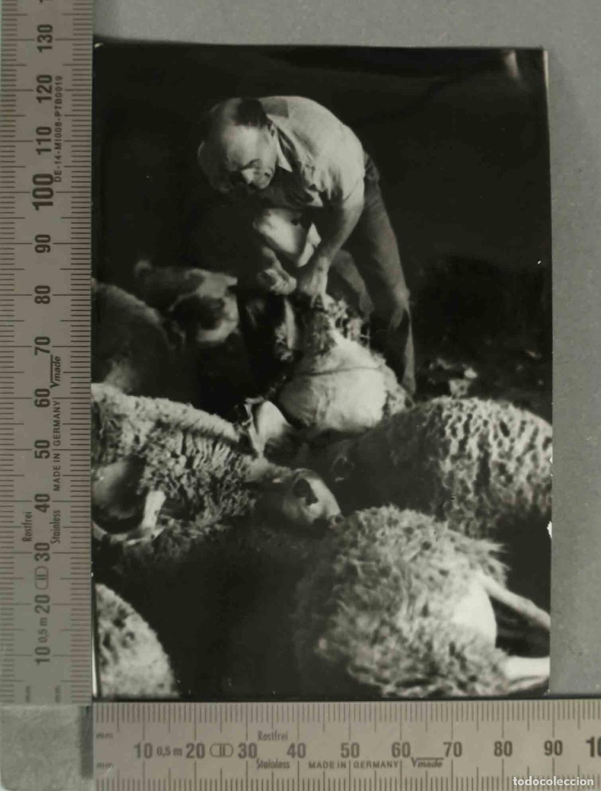 Fotograf&iacute;a antigua: FOTOGRAFIA. HOMBRE ESQUILANDO. HACIA 1940