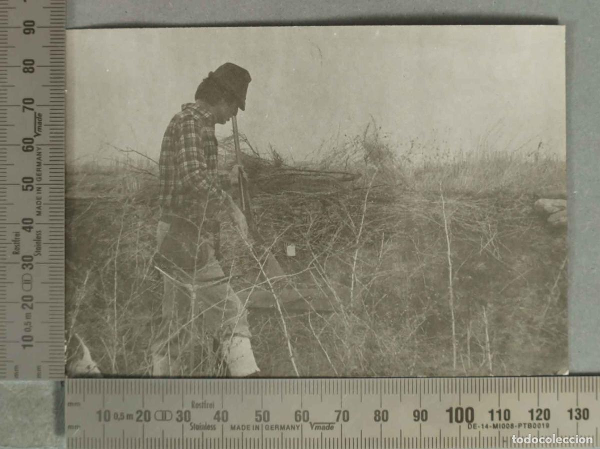 Fotograf&iacute;a antigua: FOTOGRAFIA. TIRO A PERDIZ. HACIA 1950