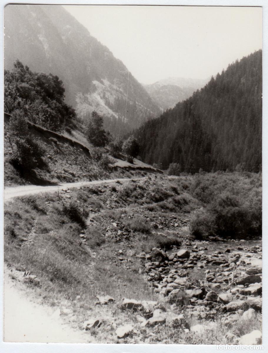 Fotograf&iacute;a antigua: Sendero entre las monta&ntilde;as. Paisaje. A&ntilde;os 50-60 pc