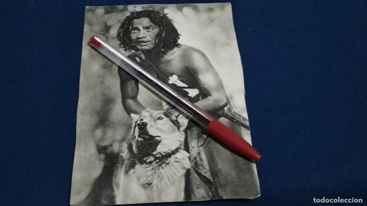 Fotograf&iacute;a antigua: FOTO CROMO TIPO POSTAL - EL LIBRO DE LA SELVA - A&Ntilde;OS 60