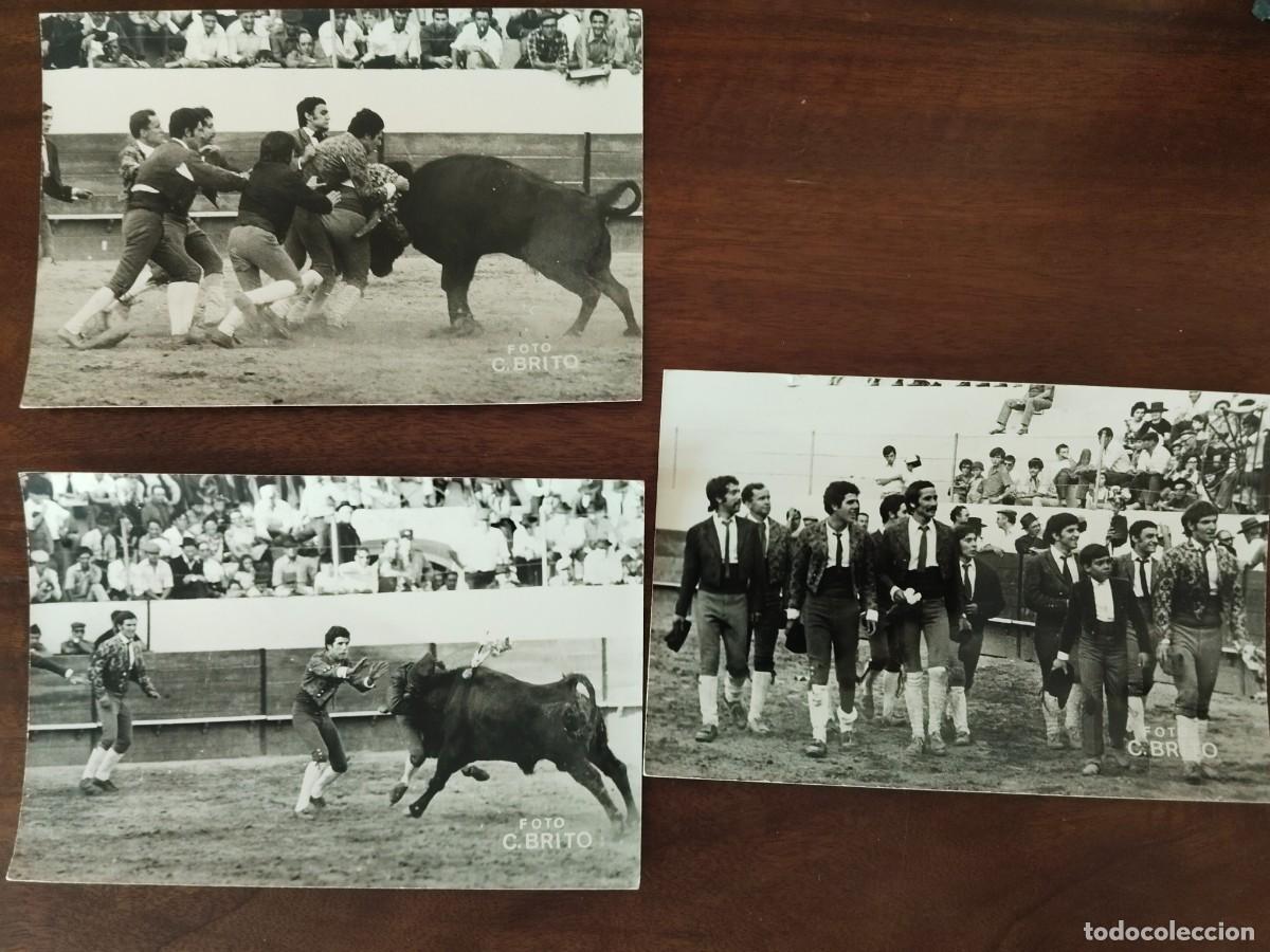 Fotograf&iacute;a antigua: 3 fotograf&iacute;as Forcados Portugal. Montenor, Foto Brito.