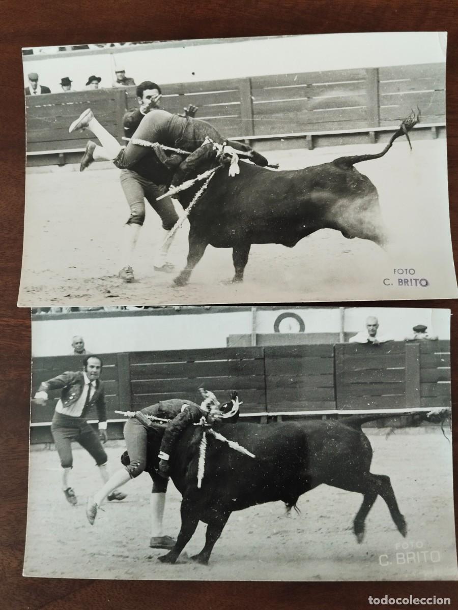 Fotograf&iacute;a antigua: 2 fotograf&iacute;as Forcados Portugal. &Eacute;vora a&ntilde;o 1973. Foto C. Brito.