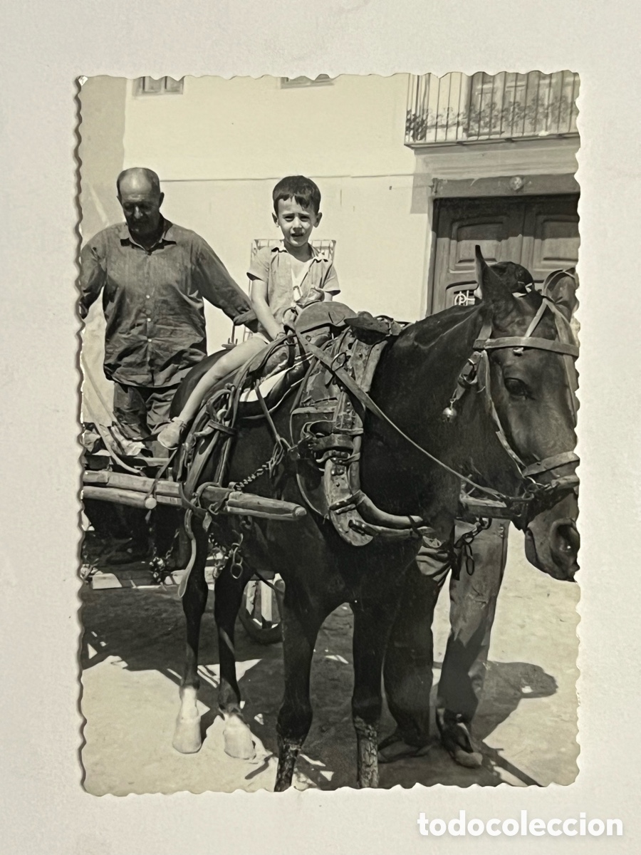 Fotograf&iacute;a antigua: ALGEMES&Iacute;, Val&egrave;ncia.. Fotograf&iacute;a El carro y l&rsquo;aca del &aacute;g&uuml;elo.. (h.1960?) Med&iacute;das: 7,5 x 10,5 cm.,