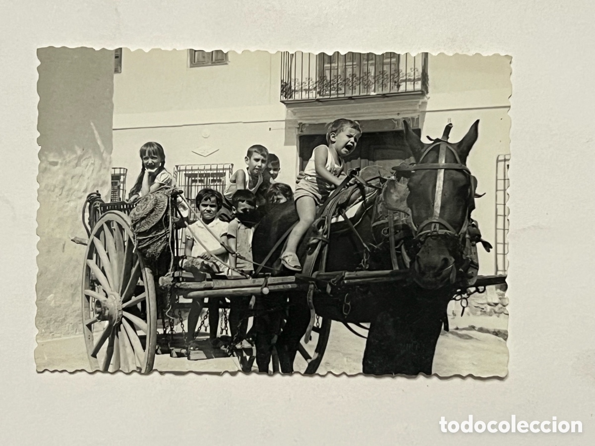 Fotograf&iacute;a antigua: ALGEMES&Iacute;, Val&egrave;ncia.. Fotograf&iacute;a El carro y l&rsquo;aca del &aacute;g&uuml;elo.. (h.1960?) Med&iacute;das: 7,5 x 10,5 cm