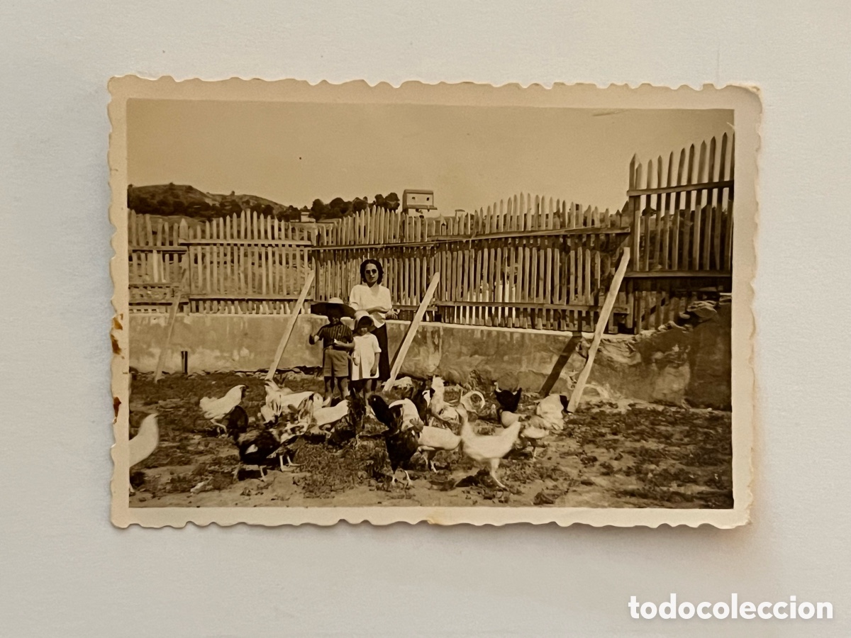 Fotograf&iacute;a antigua: EN EL GALLINERO.. Esa Espa&ntilde;a mia.. esa Espa&ntilde;a nuestra.. fotograf&iacute;a Mayo de 1942,