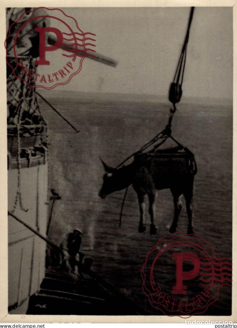 Photographie ancienne: WARSHIP GUERRE 18*13CM INDUSTRIE INDUSRTIA
