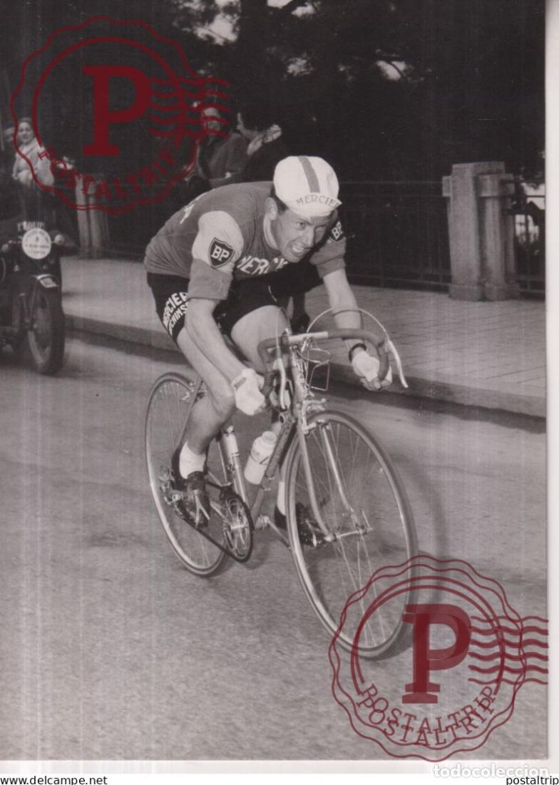Fotograf&iacute;a antigua: MILANO SAN REMO 1958 PRIVAT Y A POCHI CHILOMETRI VAN LOOY POBLET COPO BERTA 18*13CM BICI CYCLING