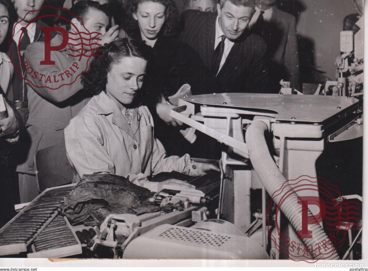 Fotografia antiga: FABRICATION DES CIGARES DIPLOMATES REGIE DES TABACS 18*13CM