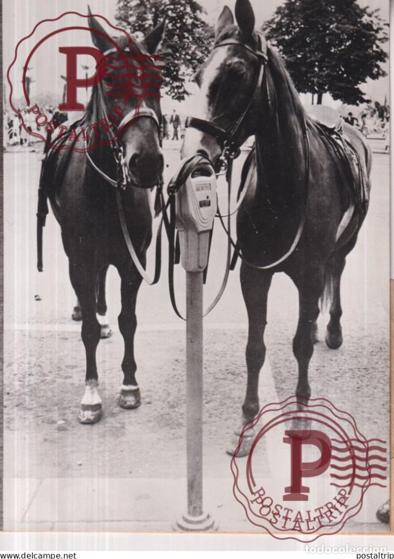 Fotografia antiga: GERMANY DEUTSCHLAND HAMBOURG EN VOITURE OU A CHEVAL HUMOR 18*13CM