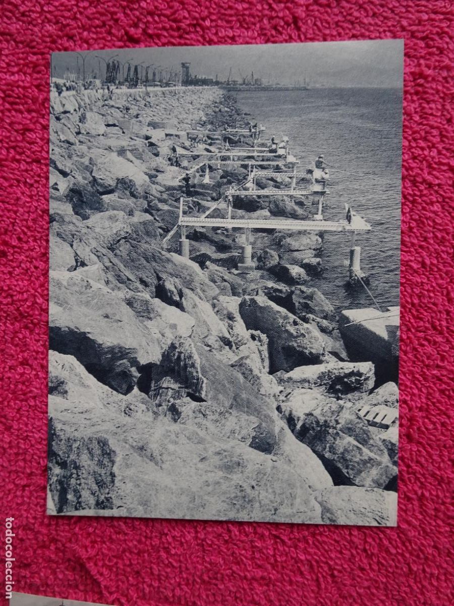 Fotografia antiga: pescadors en la escullera port barcelona lamina 64 el llibre d'or de catalunya un segle en imatges