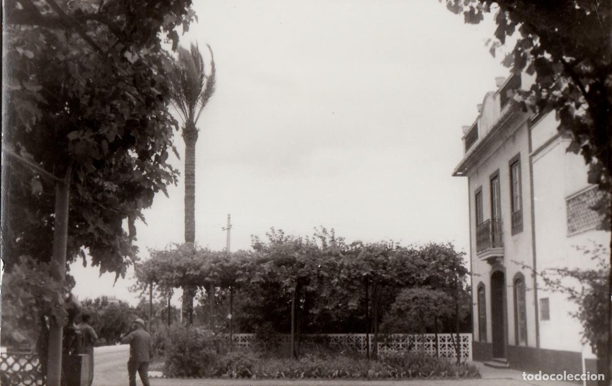 Fotograf&iacute;a antigua: Villa en la huerta con alt&iacute;sima palmera. A&ntilde;os 40-50? pc