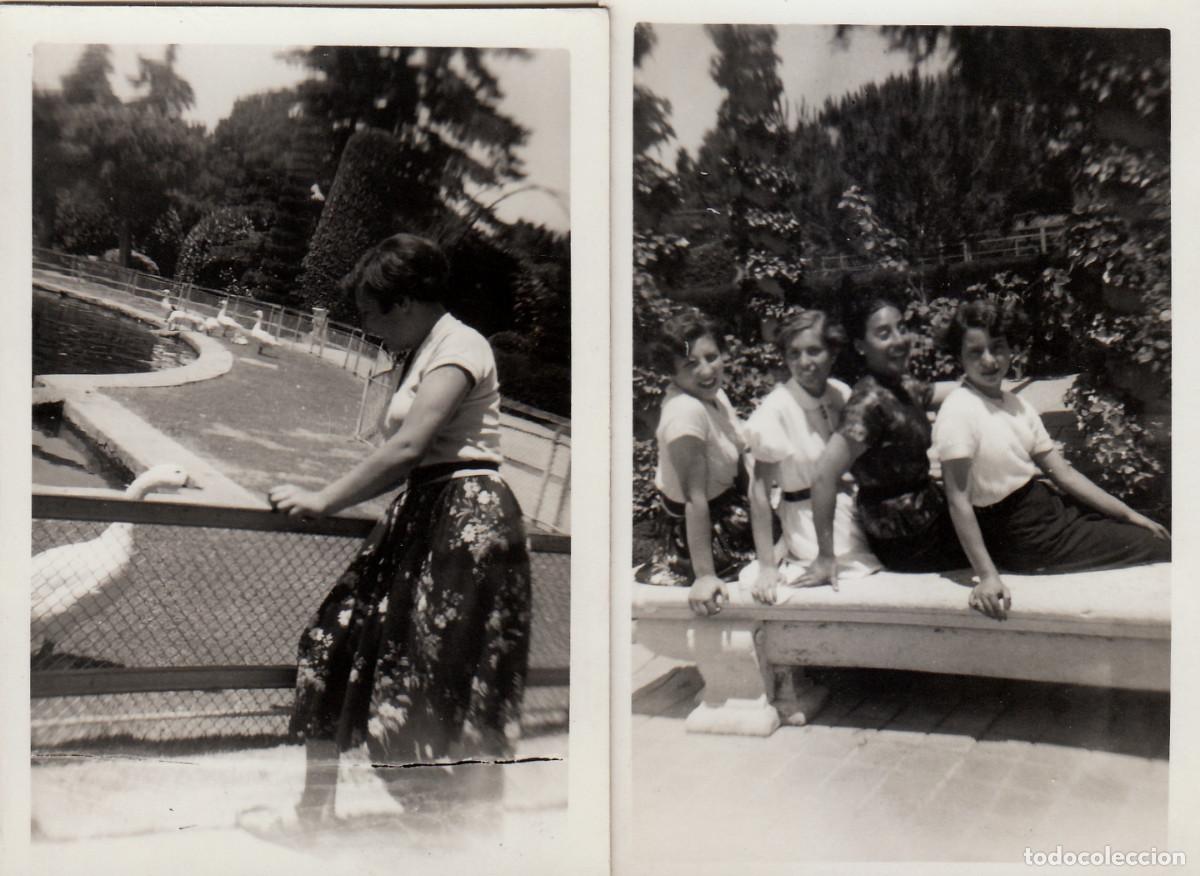 Fotografia antica: Chicas en el jard&igrave;n con los cisnes. 2 fotos. A&ntilde;os 40 pc