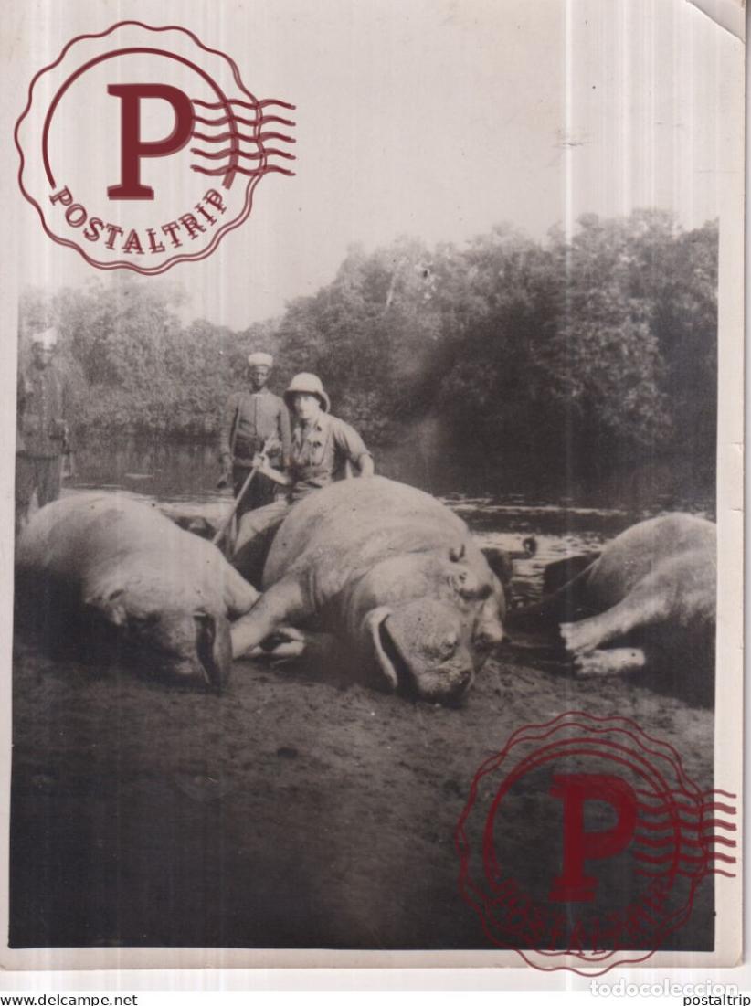Photographie ancienne: CHASSEUR DE CAMEROUN AFRIQUE HIPPOPOTAMO HIPPO HIPPOPOTAME 16*12CM CHASSE AHUNTING CHASSEURS