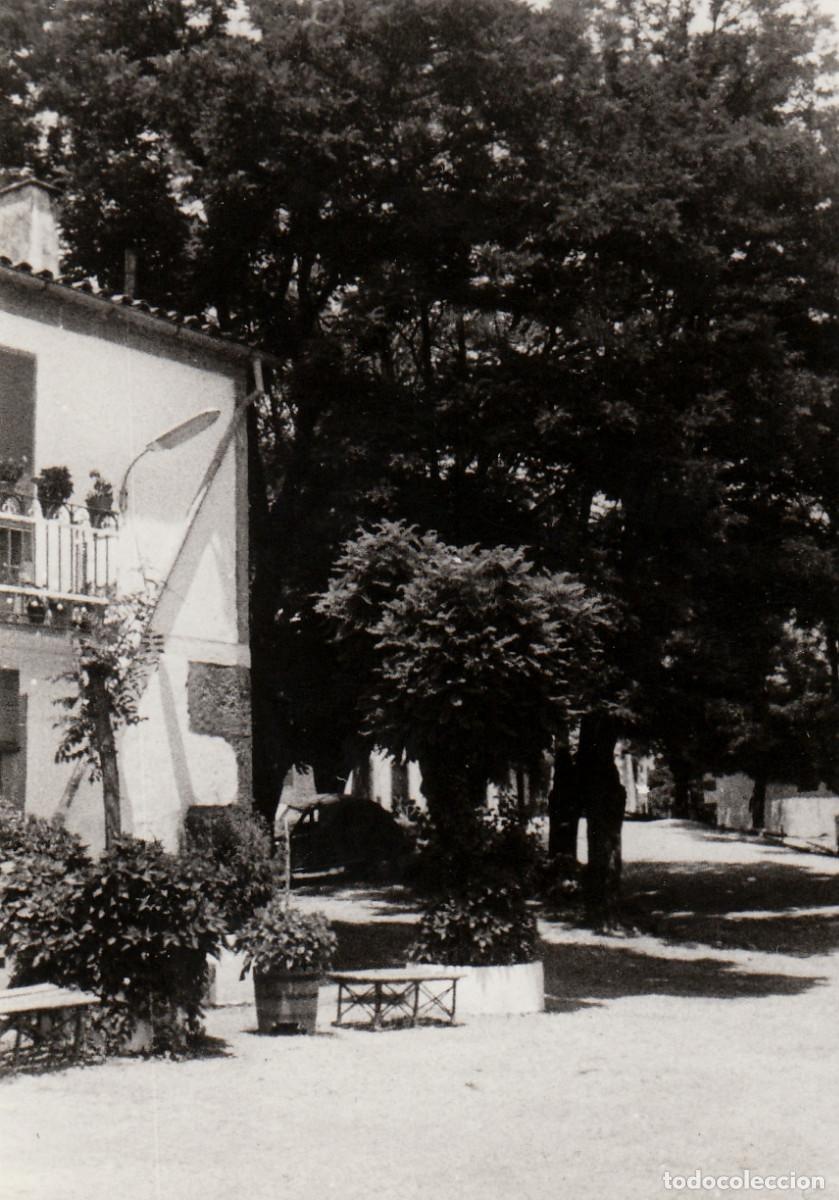 Antique Photography: Paisaje. Casa y sendero arbolado. A&ntilde;os 50-60 pc