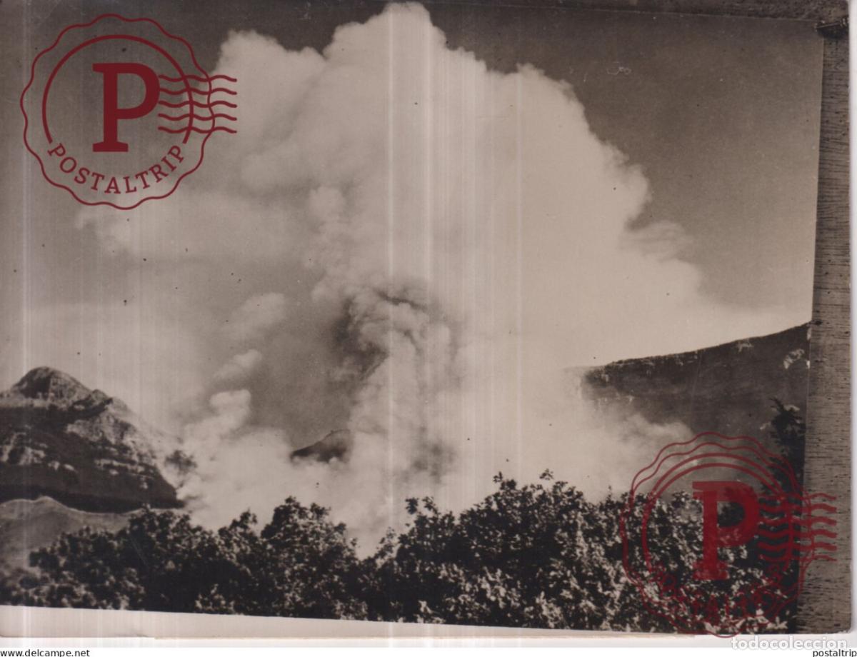 Fotografia antica: TABLE MOUNTAINS SOUTH AFRICA INCENDIE POMPIERS FIREMEN BRANDWEER 20*15CM