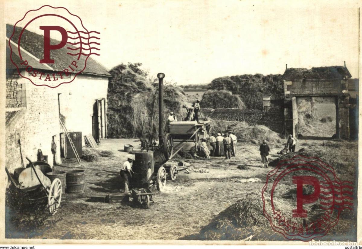 Fotografia antica: AGRICULTURE Vindima VENDANGE VENDANGES Uvas - Vinho - Wine - Vin - Vino 18*13CM
