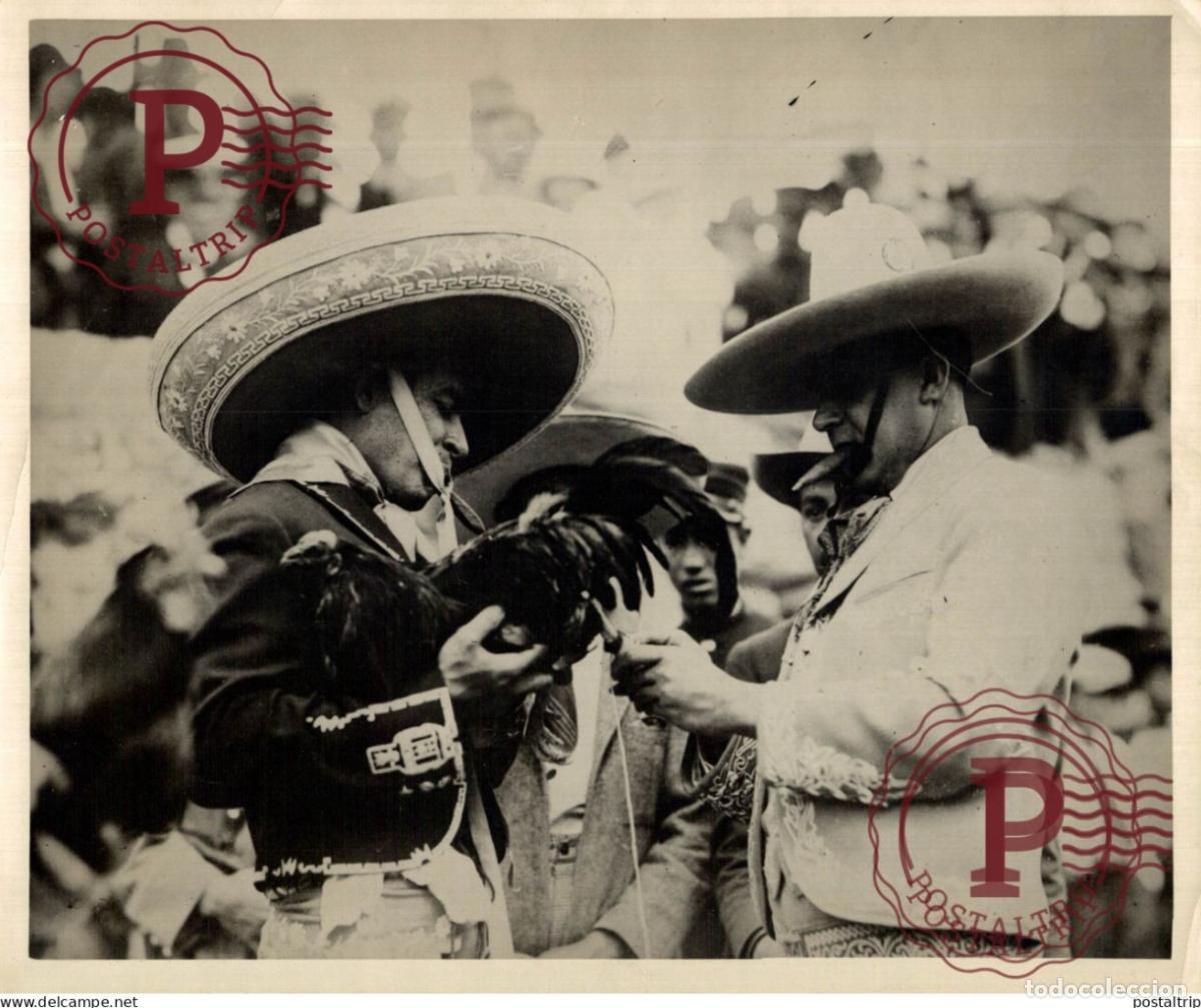Fotografia antica: GUANAJUATE MEXIQUE GUANAJUATO MEXICO COQS COMBAT COQ 23*18CM Hanengevecht Cockfight COMBAT COQ C