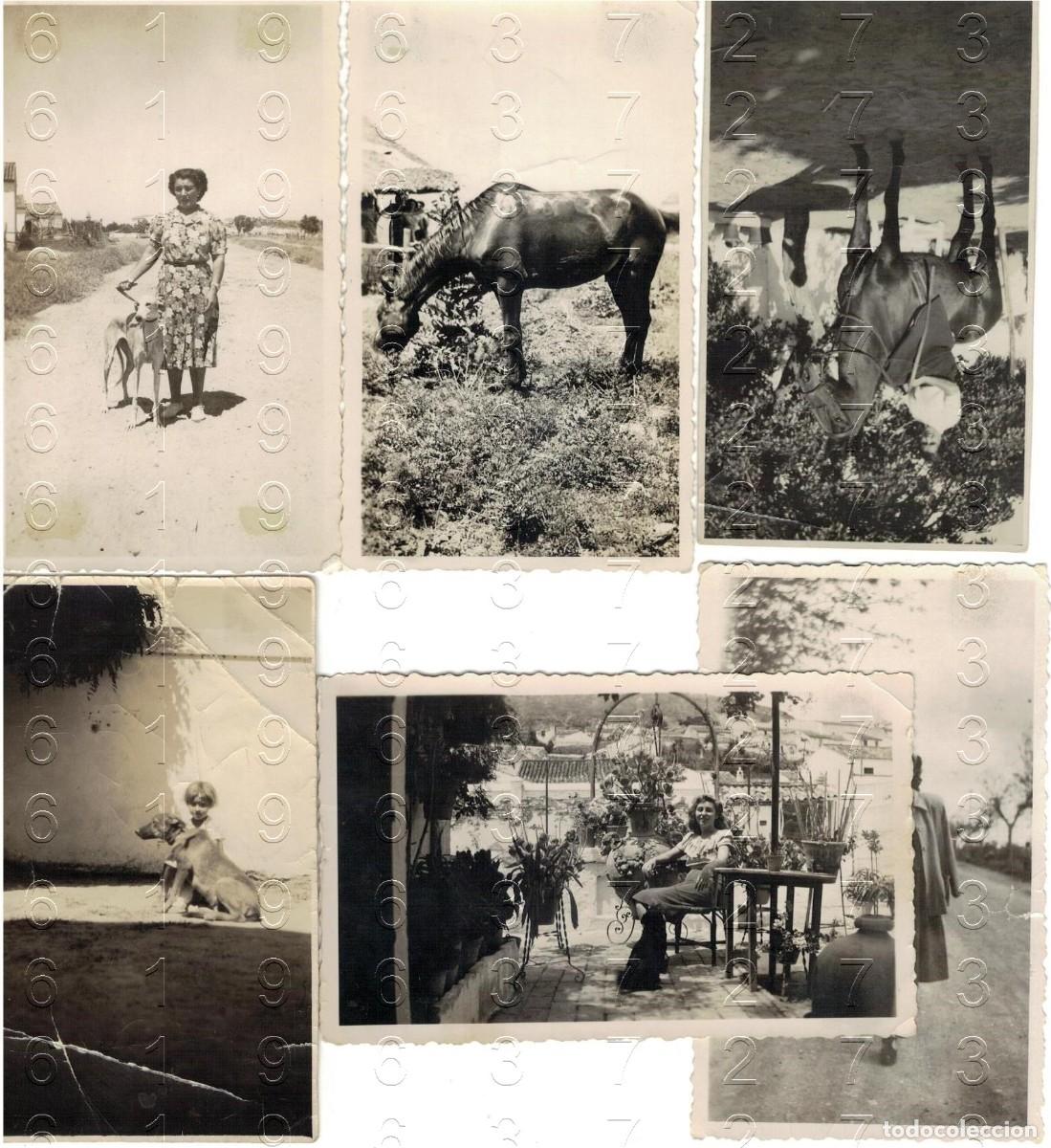 Fotograf&iacute;a antigua: GELVES SEVILLA FAMILIA VALENCIA DE LOS SANTOS 6 FOTOGRAFIAS ANTIGUAS UNICAS B46