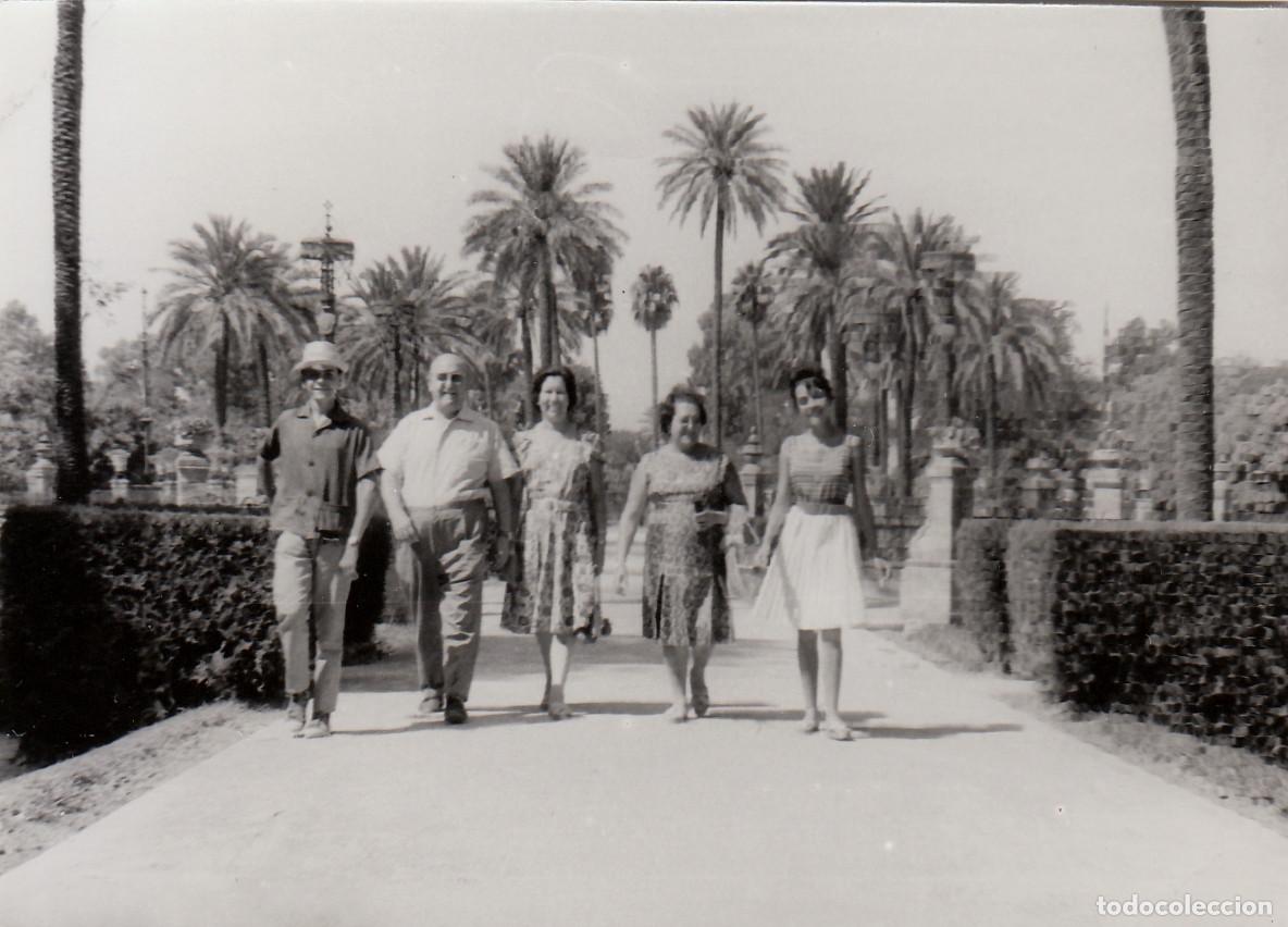 Fotograf&iacute;a antigua: Amigos paseando por el Parque de Mar&iacute;a Luisa, Sevilla. A&ntilde;os 50-60 pc