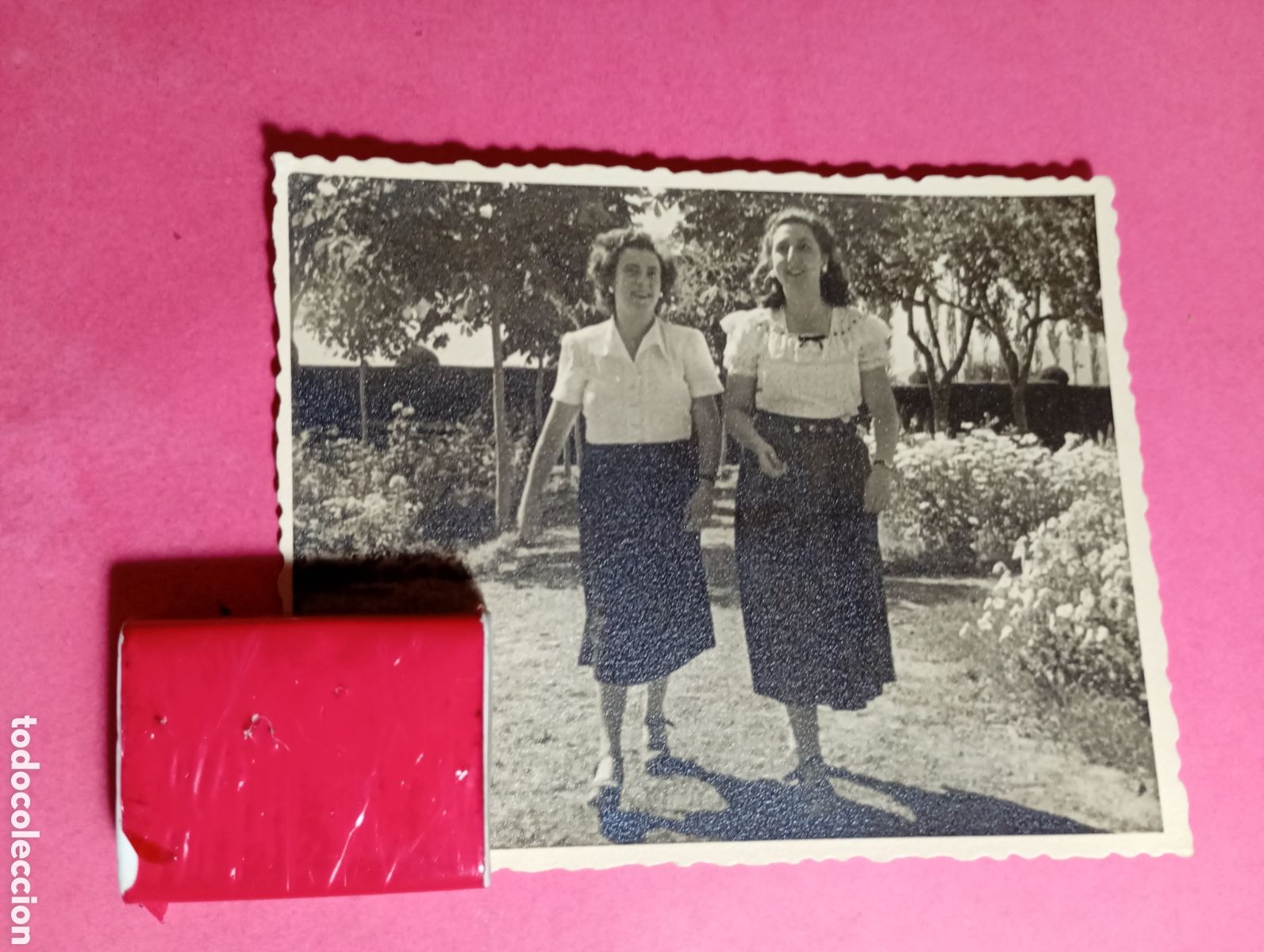 Fotografia antica: dos mujeres j&oacute;venes falda negra camisa blanca en el jard&iacute;n de la universidad y macizo margaritas