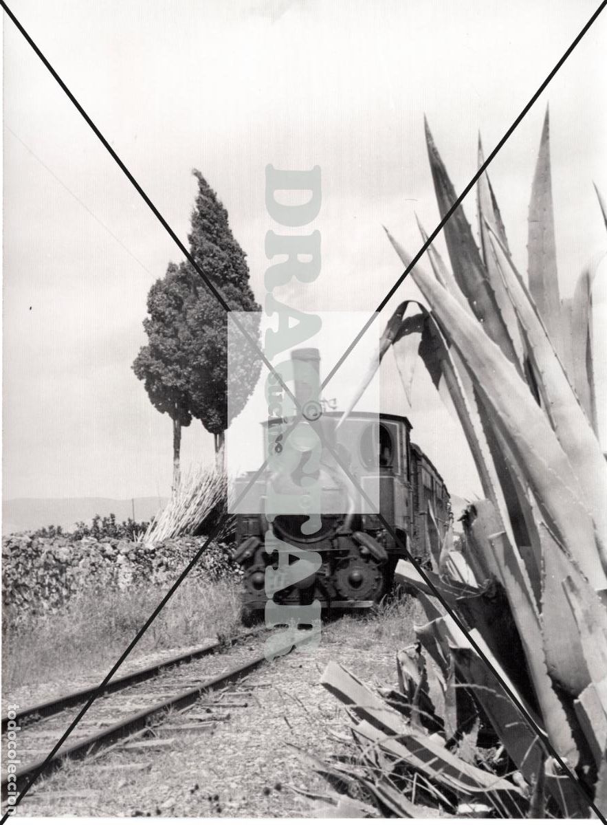 Fotograf&iacute;a antigua: ANTIGUA FOTOGRAFIA ORIGINAL LA PANDEROLA CAMINO A ALMAZORA CASTELLON TAMA&Ntilde;O 18X24