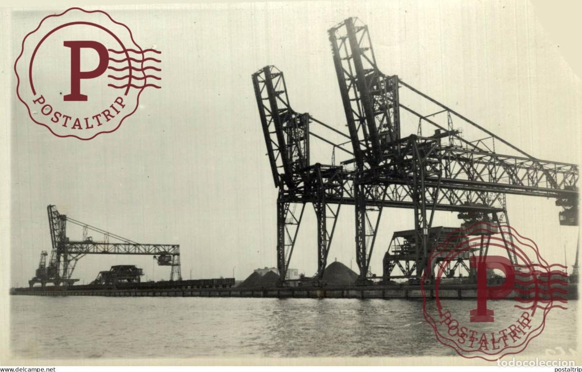 Fotografia antica: SEE BACK SEE CORNER 14*9CM GRUE CRANE KRAAN