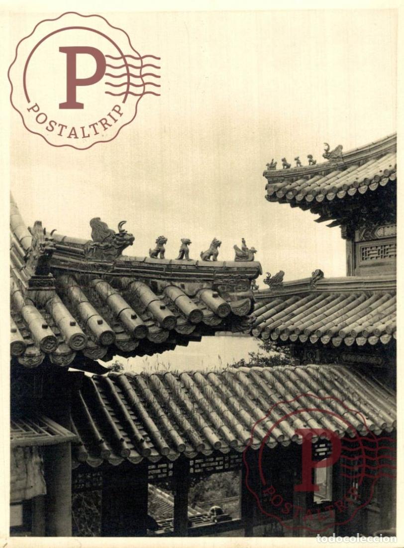Fotografia antica: ASIA. CHINA. CHINE. +- 17X12CM PHOTO. FOTOGRAFIA ANTIGUA.