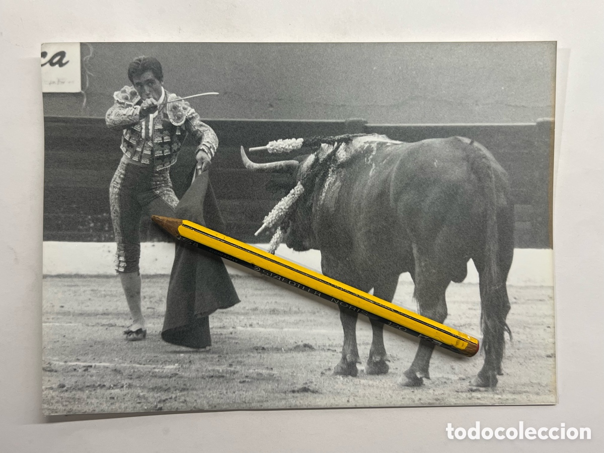 Fotografia antiga: FERNANDO C&Aacute;MARA. Torero.. Entrando a matar toro ganader&iacute;a Conde de Mur&ccedil;a. Fotograf&iacute;a Y. Pares