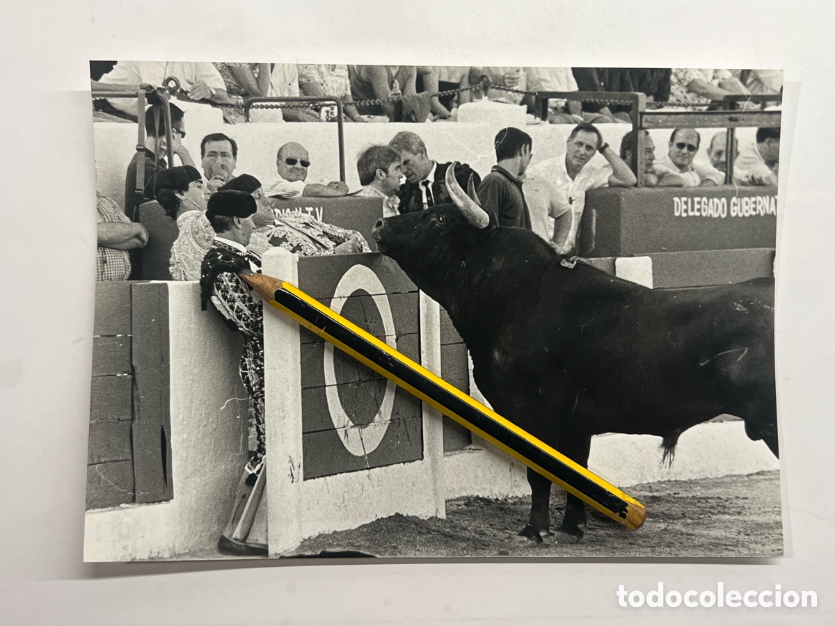 Antique Photography: LINARES (Ja&eacute;n) Corrida de Toros el tercer toro de la tarde quiso asomarse al Burladero (a.2001)