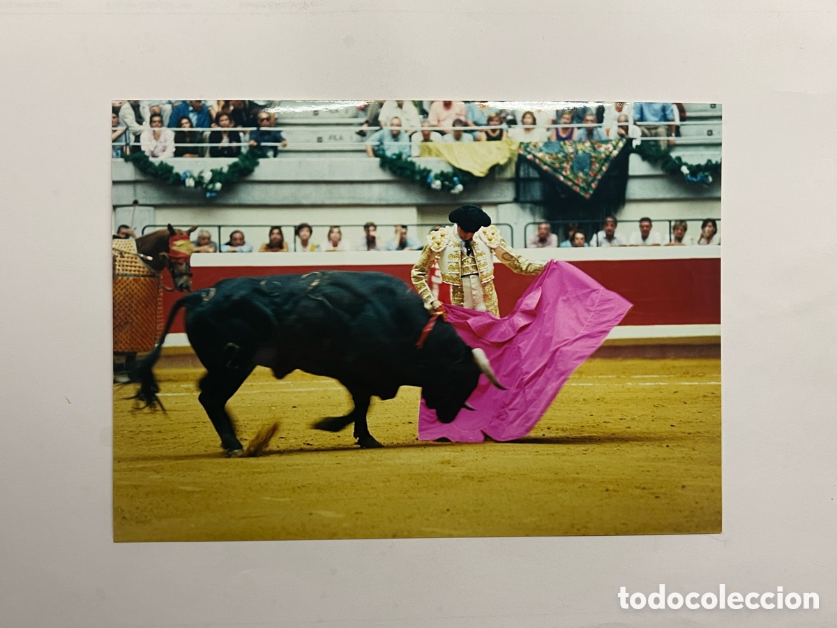 Fotograf&iacute;a antigua: TOROS. Torero ENRIQUE PONCE. Pase Natural &hellip; (a.2000) Medidas: 15 x 21 cm.,