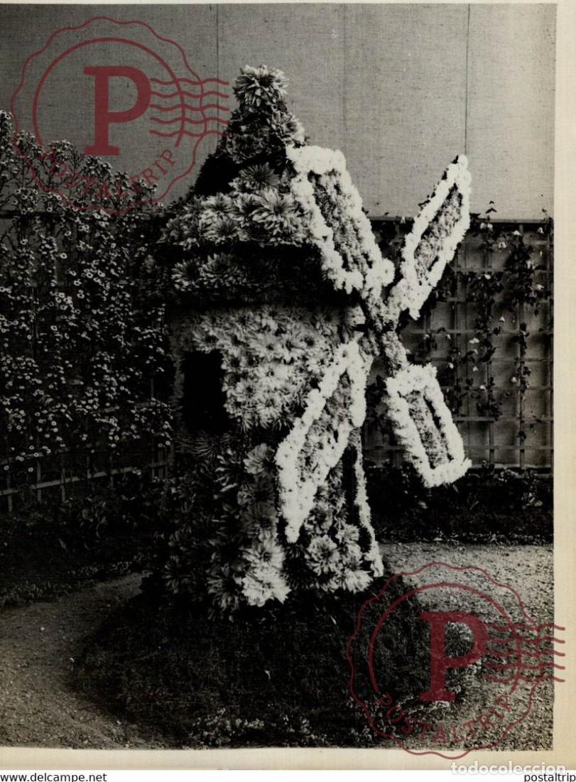 Fotografia antica: CONCOURSE LEPIN EXPOSITION FLORALE 18*13CM Photo Meurisse Paris collectionmeurisse