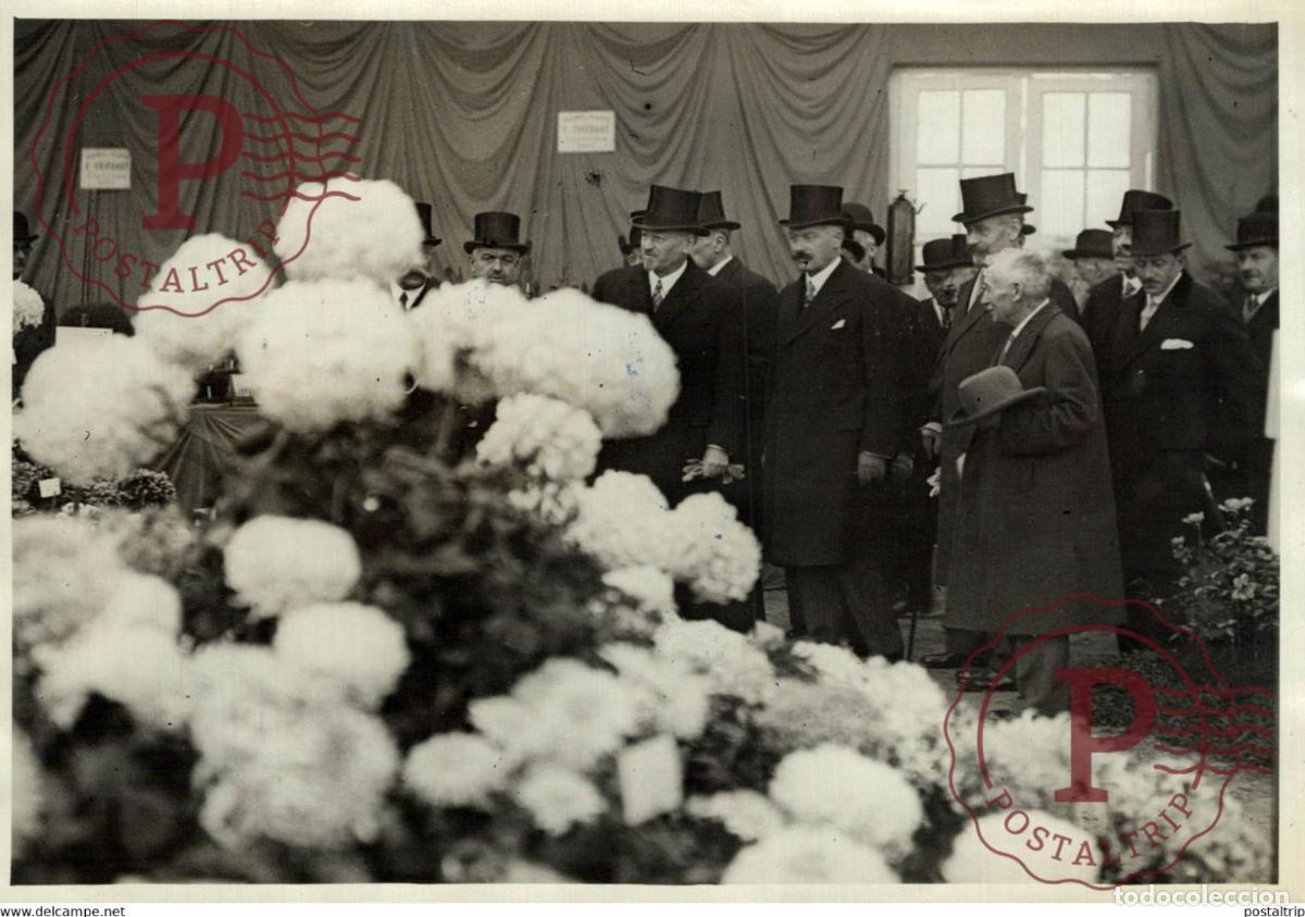 Fotograf&iacute;a antigua: INAUGURE L EXPOSITION D HORTICULTURE PRESIDENT DE LA REPUBLIQUE 18*13CM Photo Meurisse Paris collec