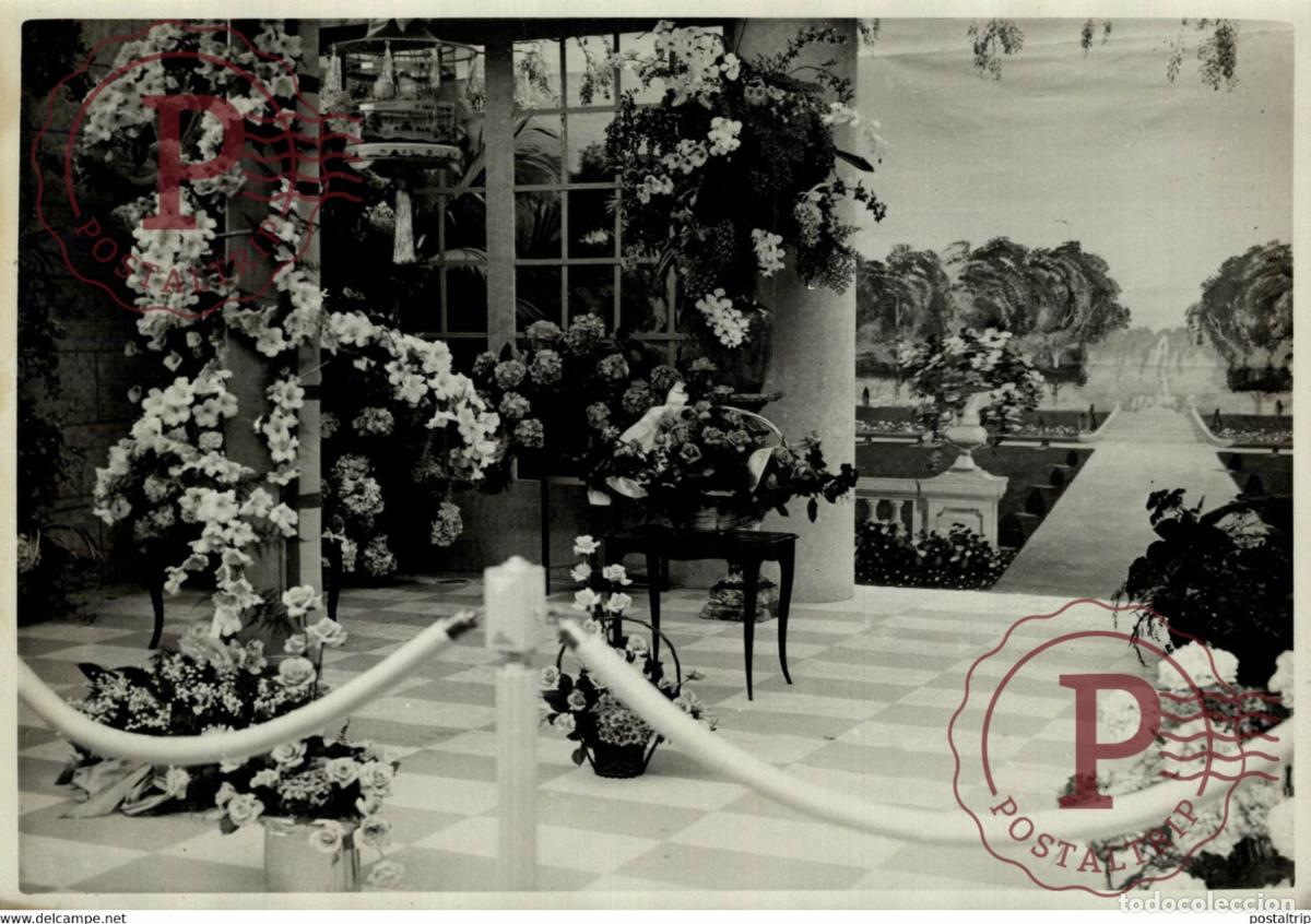 Fotograf&iacute;a antigua: EXPOSITION D HORTICULTURE 18*13CM Photo Meurisse Paris collectionmeurisse