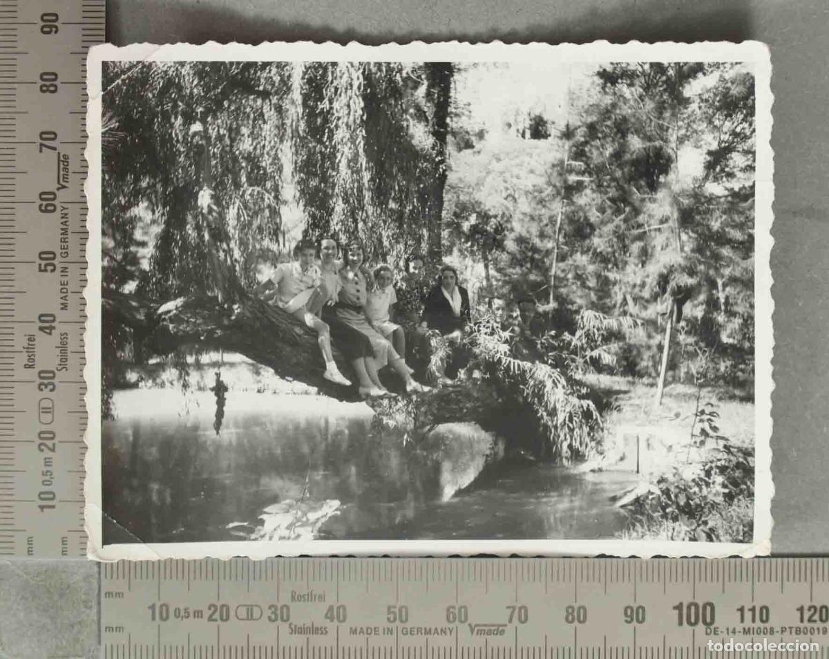 Fotograf&iacute;a antigua: FOTOGRAFIA. Grupo de personas sobre el tronco de un &aacute;rbol junto al r&iacute;o HACIA 1950