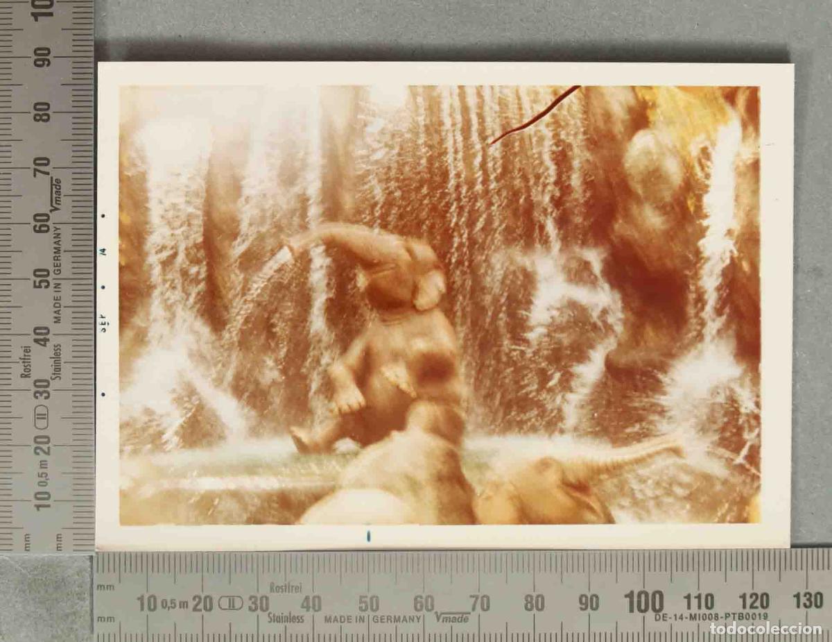 Fotograf&iacute;a antigua: FOTOGRAFIA. Walt Disney World - HACIA 1970