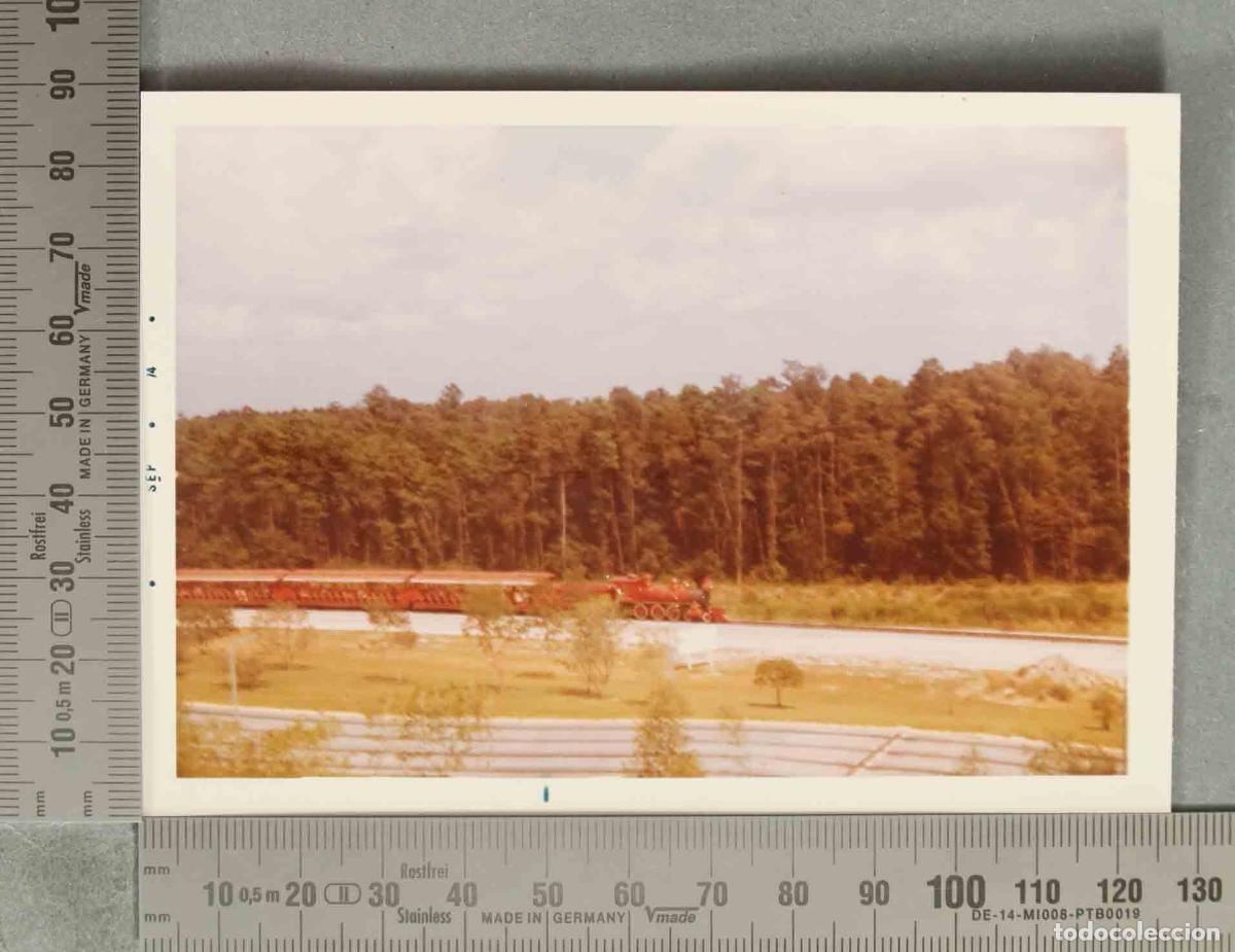 Fotograf&iacute;a antigua: FOTOGRAFIA. Walt Disney World - HACIA 1970