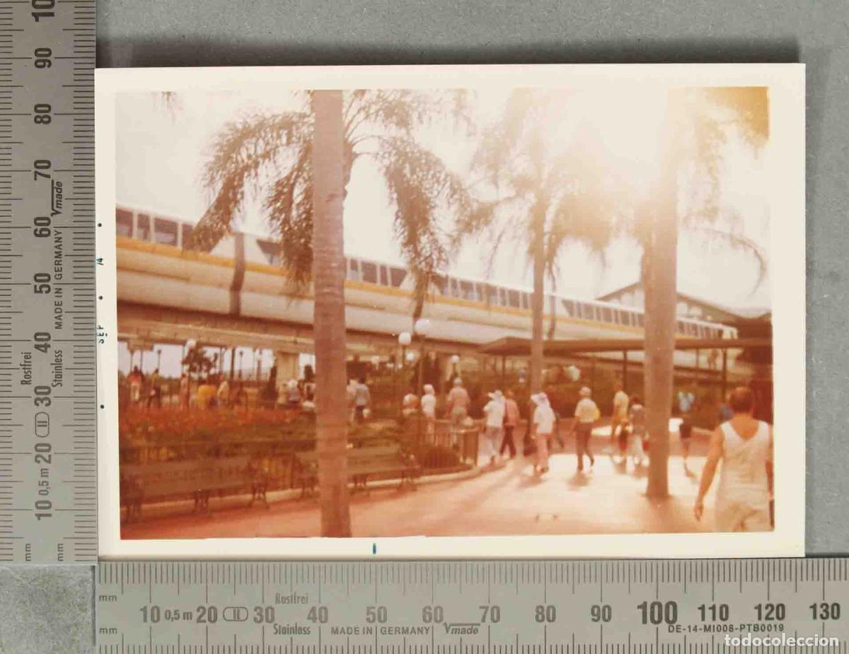 Fotograf&iacute;a antigua: FOTOGRAFIA. Walt Disney World - HACIA 1970