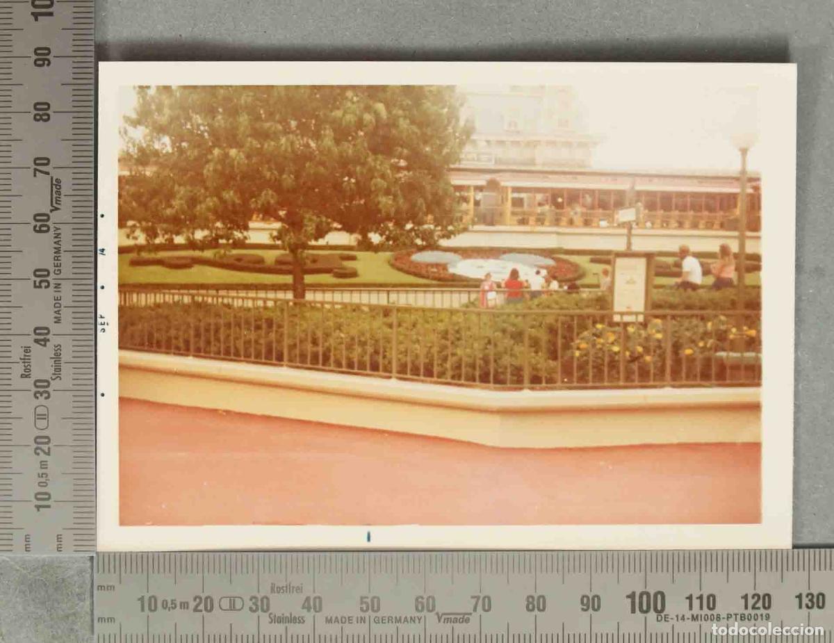 Fotograf&iacute;a antigua: FOTOGRAFIA. Walt Disney World - HACIA 1970
