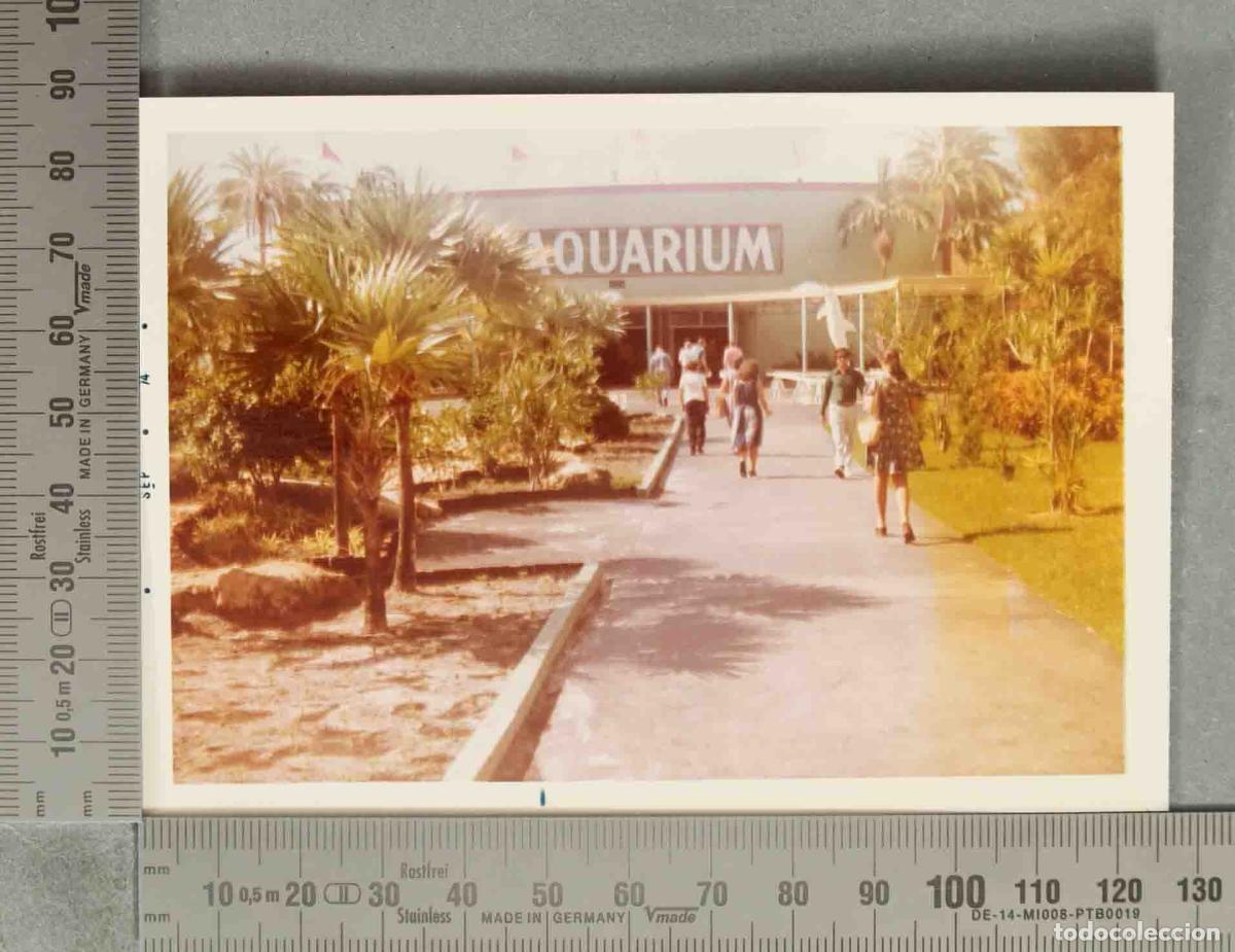 Fotograf&iacute;a antigua: FOTOGRAFIA. Walt Disney World - HACIA 1970