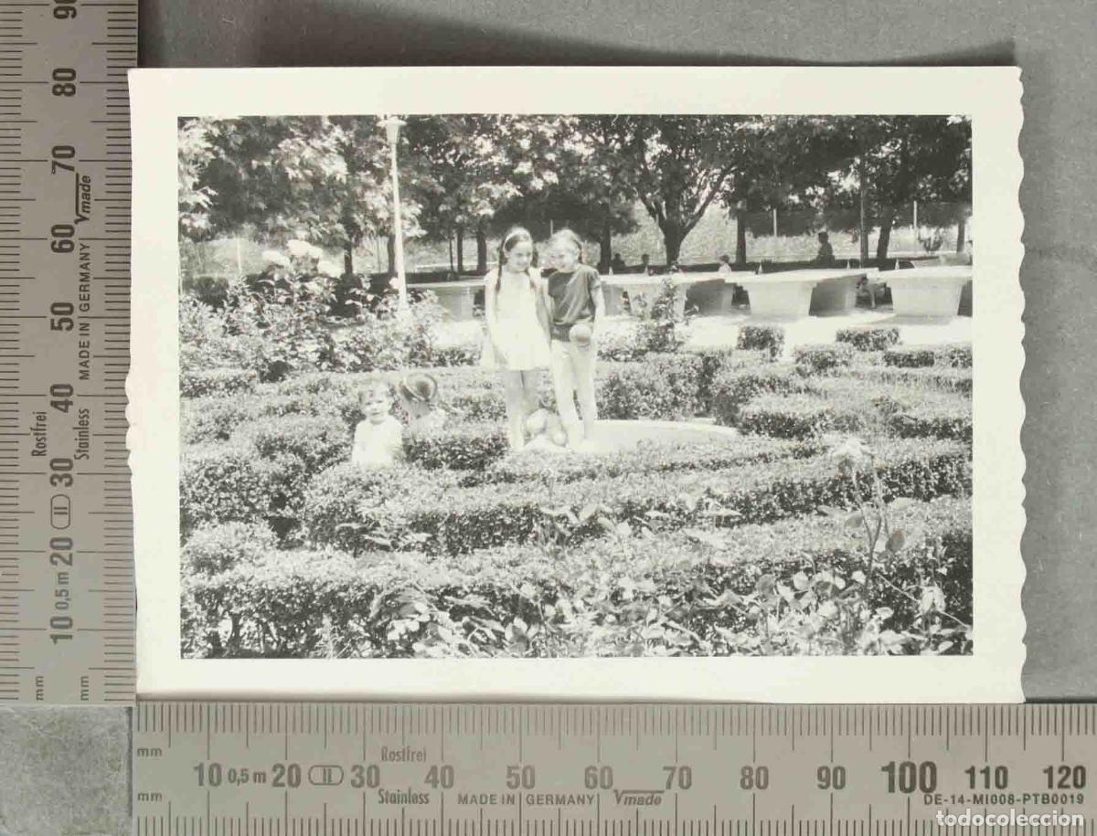 Fotografia antiga: FOTOGRAFIA. Ni&ntilde;os en un jard&iacute;n laberinto JUGANDO. HACIA 1960