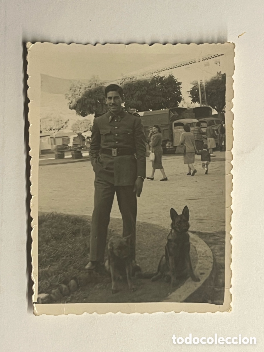 Photographie ancienne: JACA Huesca.. Militar con perros&hellip; Foto Barrios (h.1950?) Med&iacute;das: 6,8 x 9 cm.,