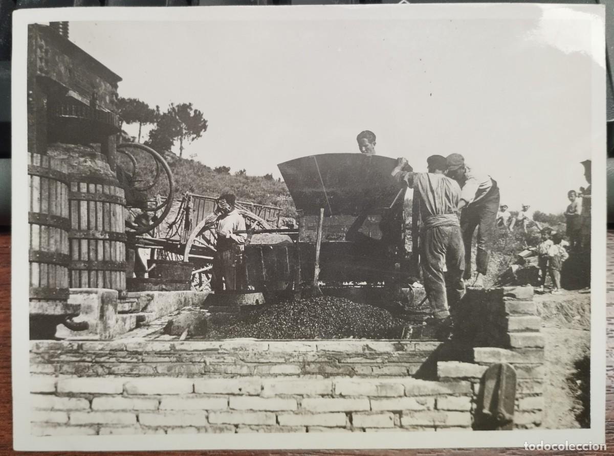 Fotograf&iacute;a antigua: FOTO SANT CRISTOFOL DE CASTELLBELL (BARCELONA) CAN BRUNET OCTUBRE 1929 VENDIMIA