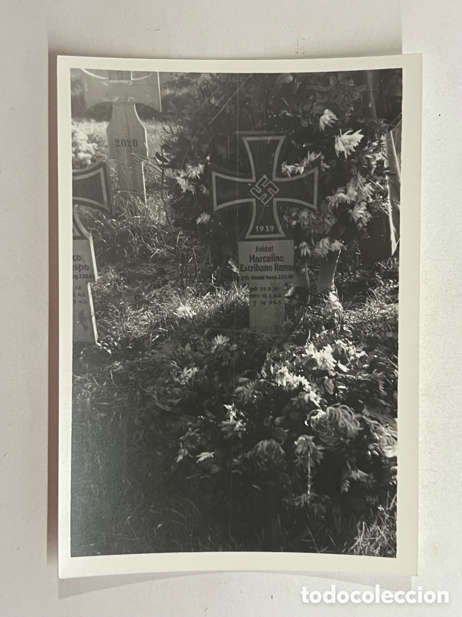 Fotografia antiga: DIVISI&Oacute;N AZUL. Fotograf&iacute;a Cementerio Alem&aacute;n.. Marcelino.. Soldado Division Espa&ntilde;ola.. Fotograf&iacute;a