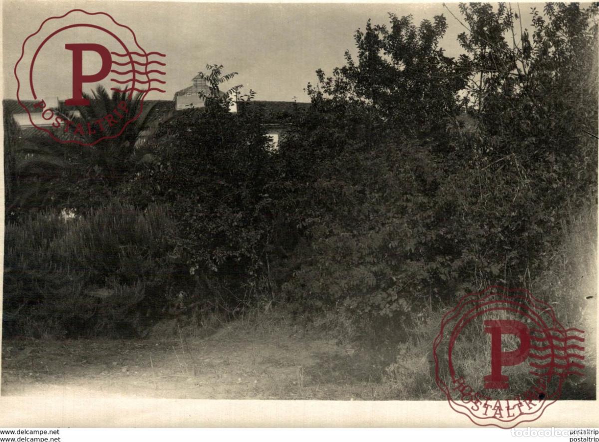 Fotograf&iacute;a antigua: EXTREMADURA BADAJOZ ESPA&Ntilde;A. FREGENAL DE LA SIERRA. INSTITUTO LOCAL DE SECUNDARIA. JARDIN. 16,5