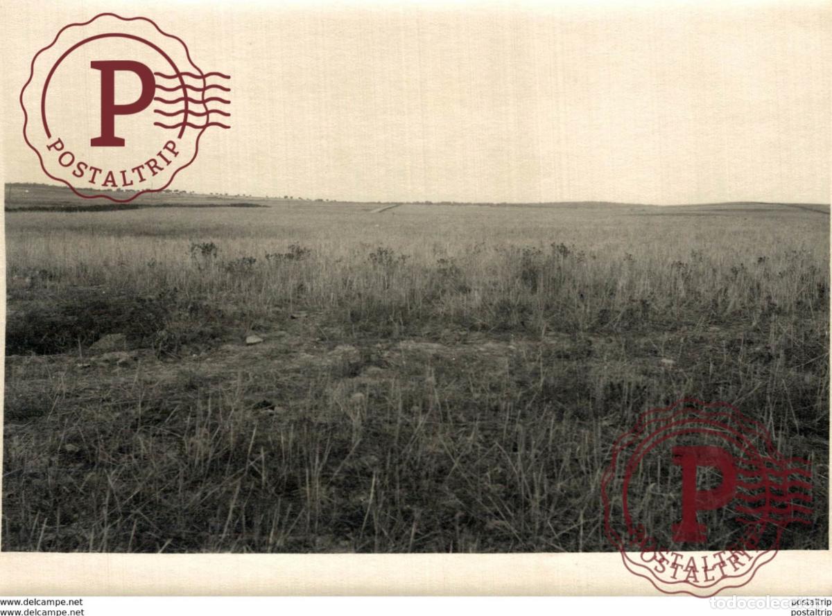 Fotograf&iacute;a antigua: EXTREMADURA BADAJOZ ESPA&Ntilde;A. FREGENAL DE LA SIERRA. FINCA VALERA REPARTIDA POR EL AYUNTAMIENTO.