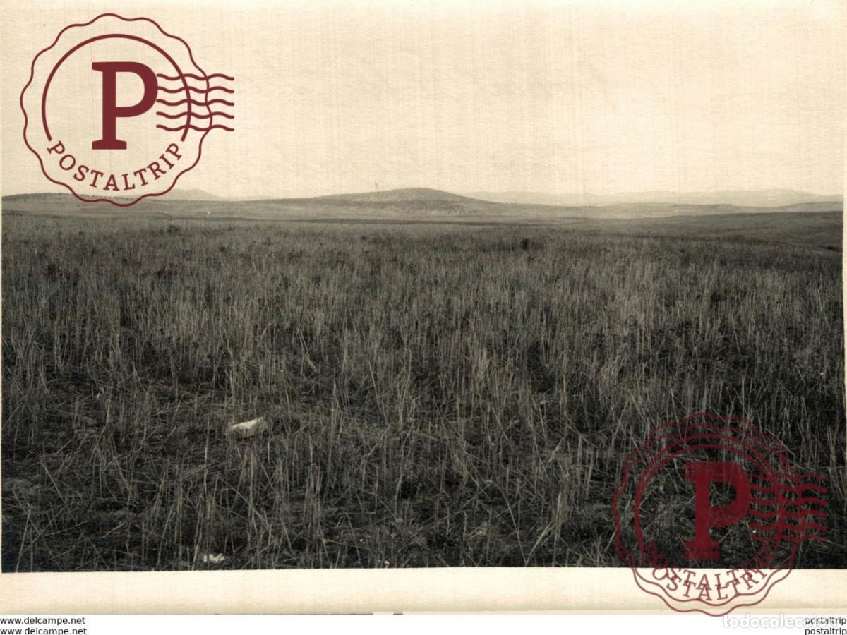 Fotograf&iacute;a antigua: EXTREMADURA BADAJOZ ESPA&Ntilde;A. FREGENAL DE LA SIERRA. FINCA VALERA. REPARTIDA POR EL AYUNTAMIENTO