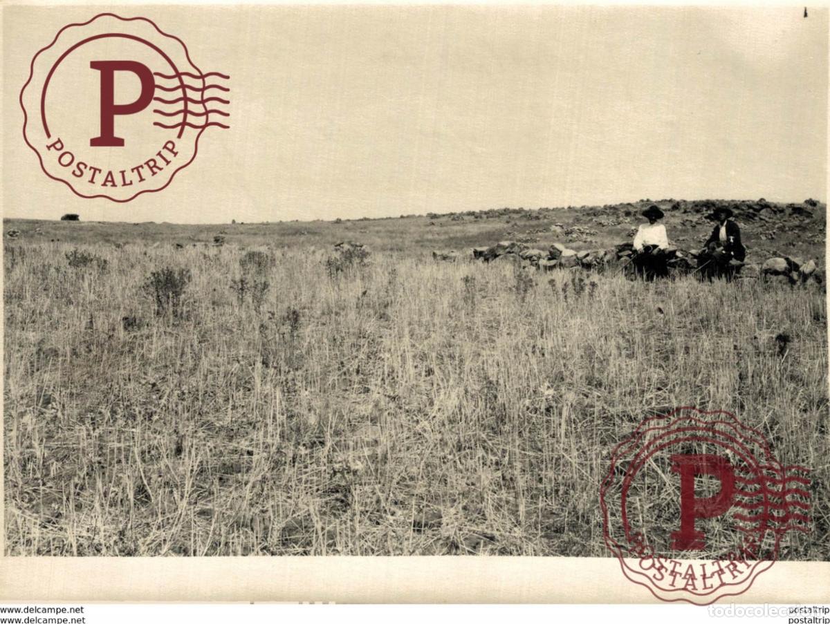 Fotografia antica: EXTREMADURA BADAJOZ ESPA&Ntilde;A. FREGENAL DE LA SIERRA. FINCA LOS QUI&Ntilde;ONES REPARTIDA POR EL AYUNTAM