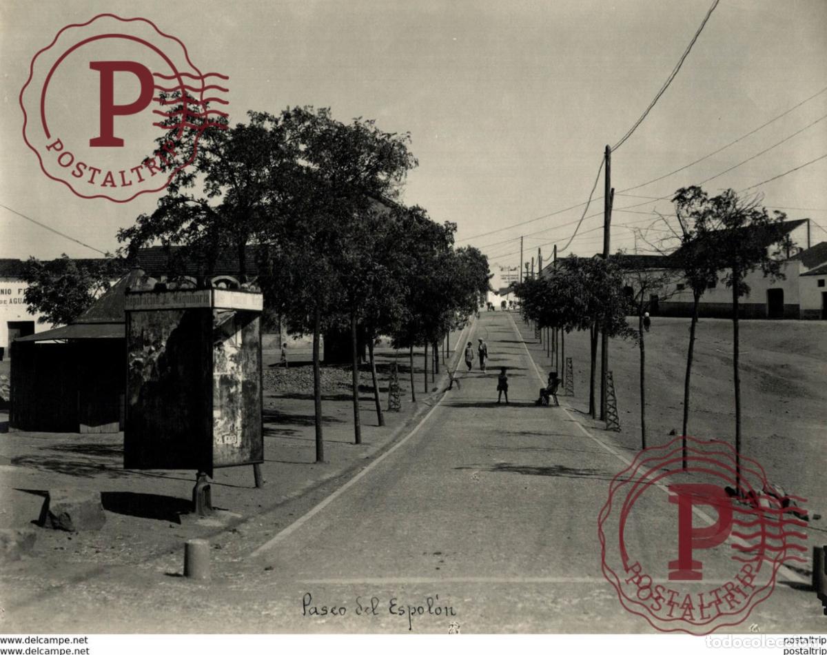 Fotograf&iacute;a antigua: EXTREMADURA BADAJOZ ESPA&Ntilde;A. ALMENDRALEJO. PASEO DEL ESPOLON - 23X17CM