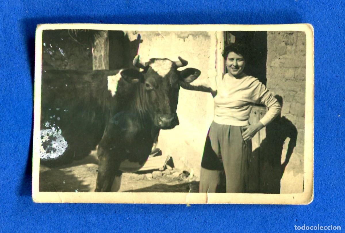 Fotograf&iacute;a antigua: FOTOGRAFIA MUJER CON VACA